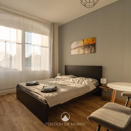 Penzion De Monte Horní Planá エクステリア 写真