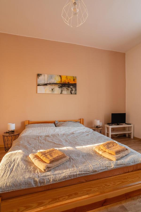 Penzion De Monte Horní Planá エクステリア 写真